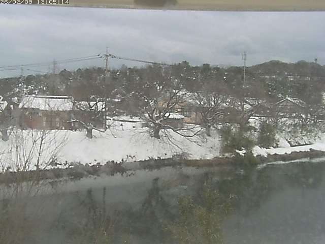 取得できませんでした