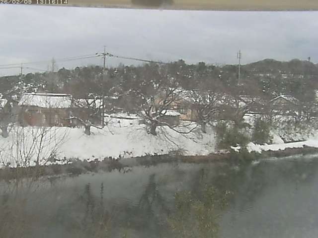 取得できませんでした