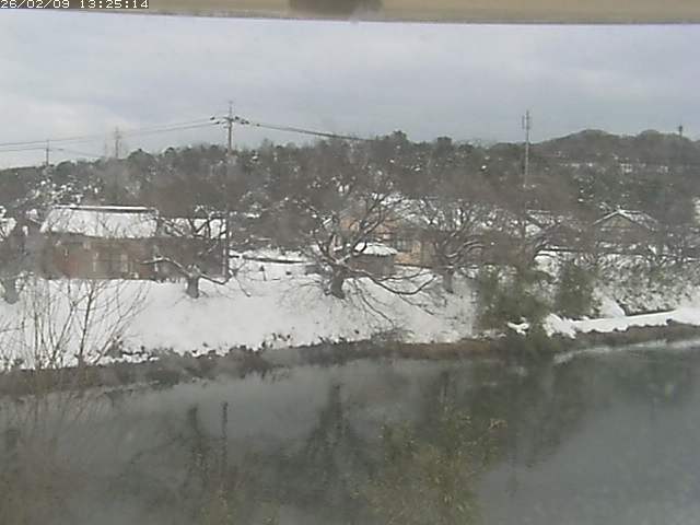 取得できませんでした