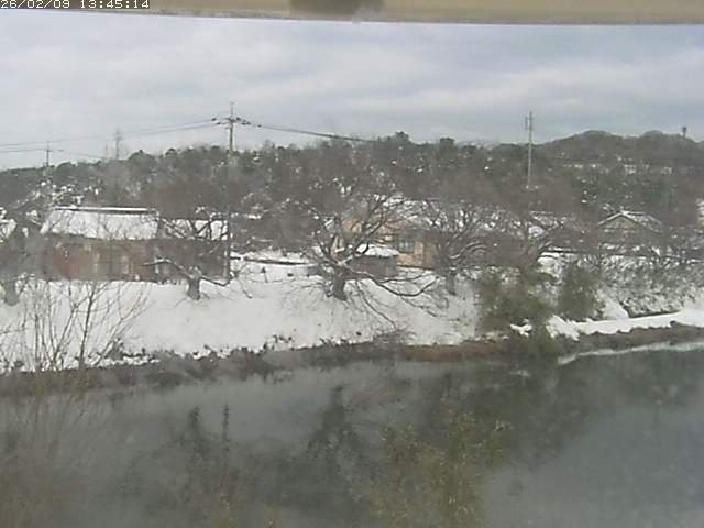 取得できませんでした