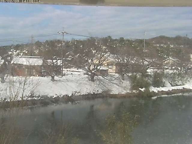 取得できませんでした