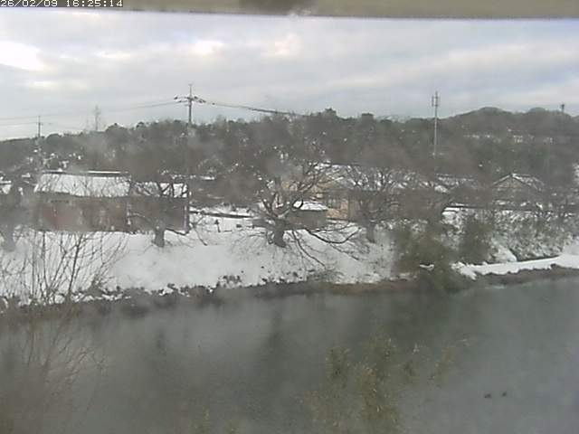 取得できませんでした