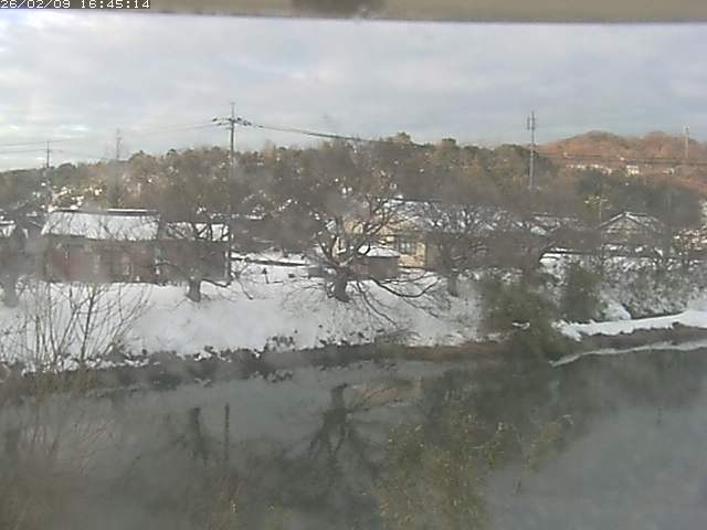 取得できませんでした