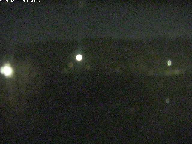 取得できませんでした