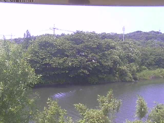 取得できませんでした