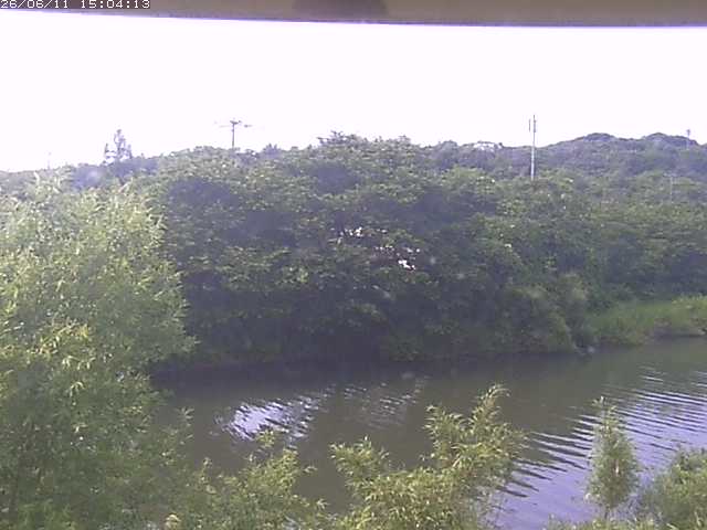 取得できませんでした