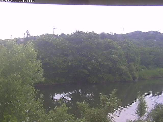 取得できませんでした