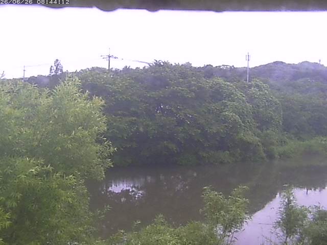 取得できませんでした