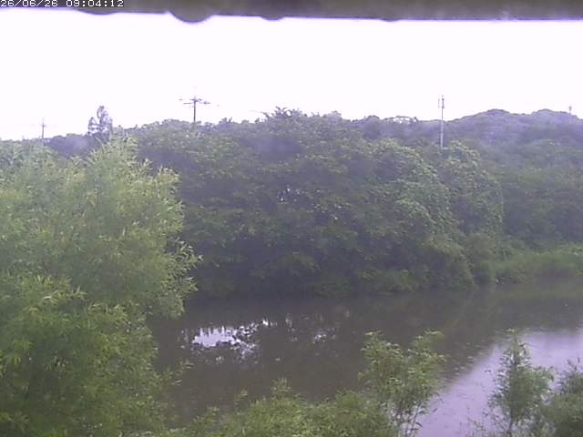 取得できませんでした