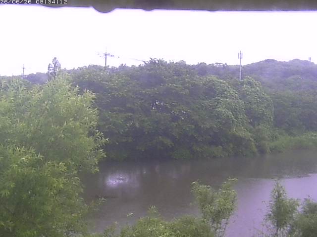 取得できませんでした