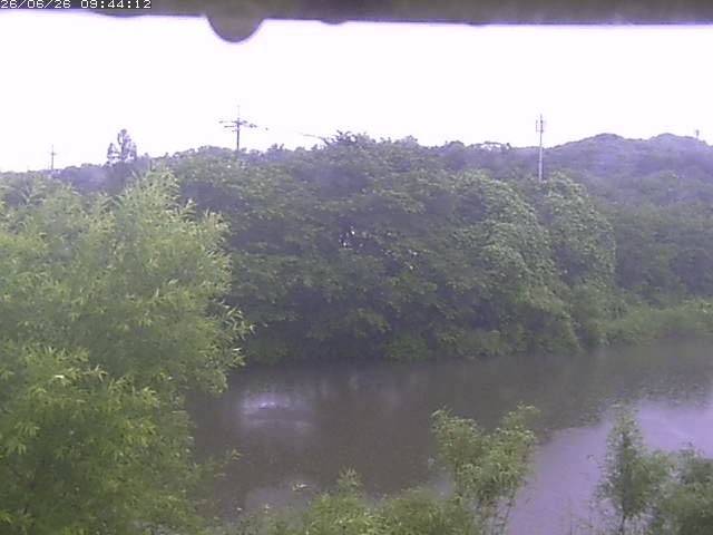 取得できませんでした