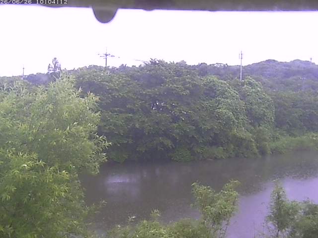 取得できませんでした