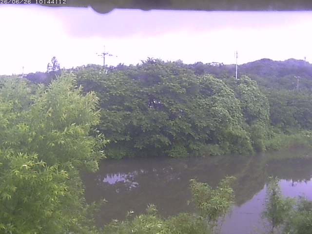取得できませんでした