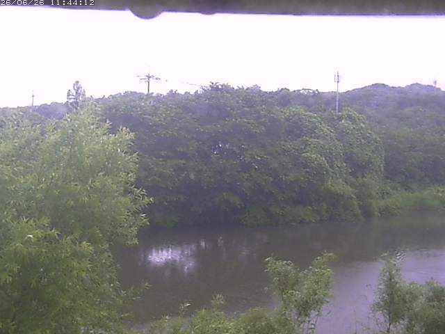取得できませんでした