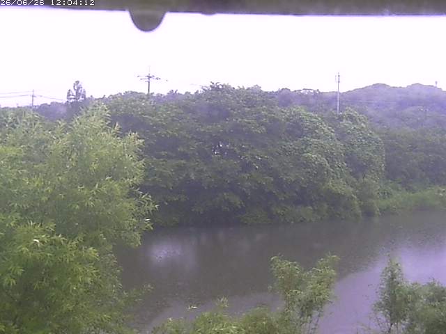 取得できませんでした