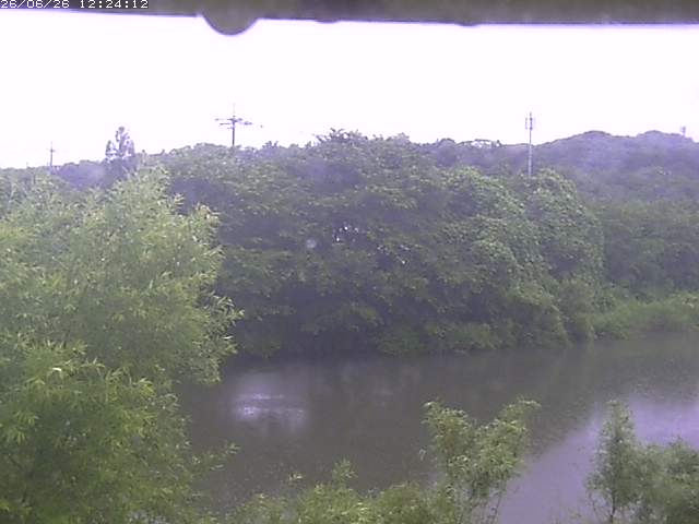取得できませんでした