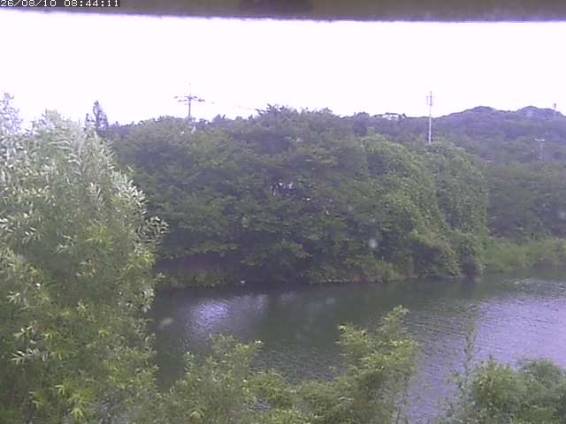 取得できませんでした