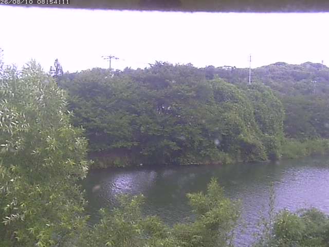 取得できませんでした