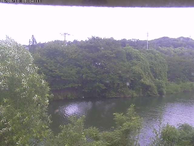 取得できませんでした