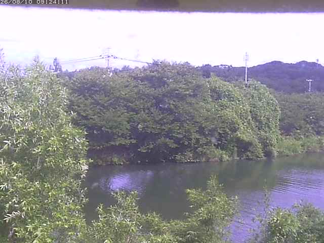 取得できませんでした