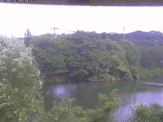 取得できませんでした