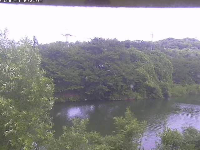 取得できませんでした