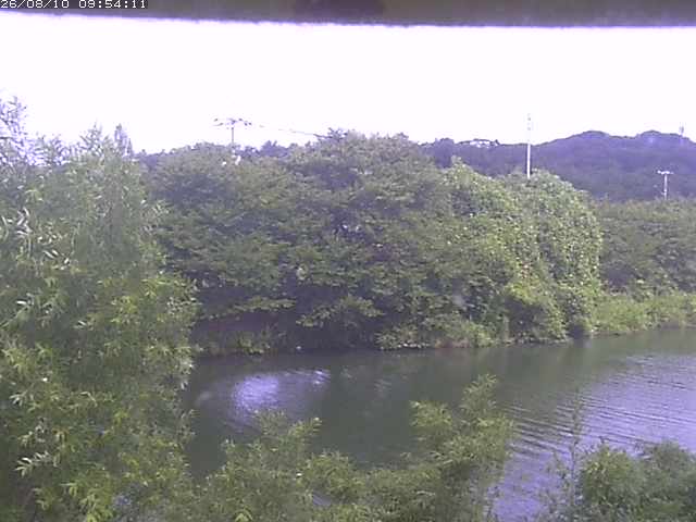 取得できませんでした