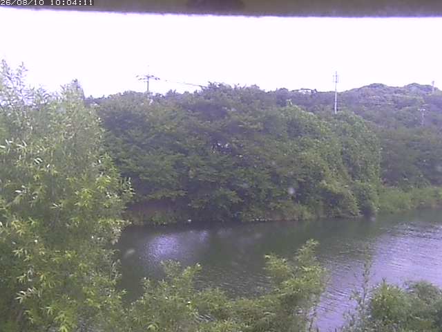 取得できませんでした