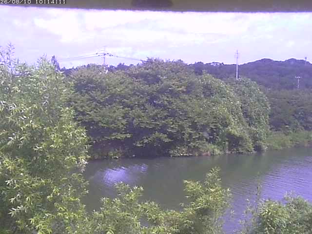 取得できませんでした