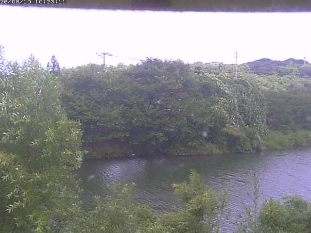 取得できませんでした