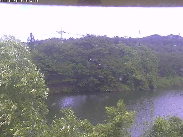 取得できませんでした