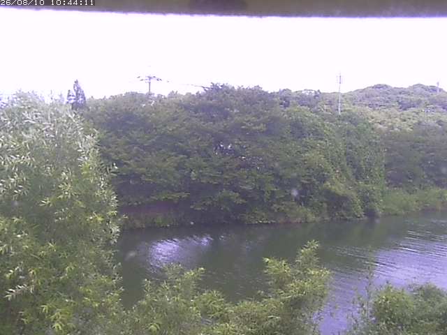 取得できませんでした