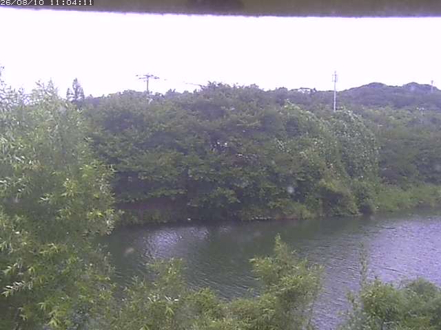 取得できませんでした