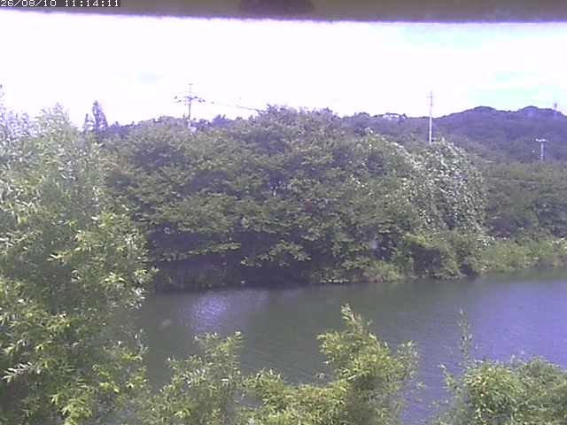 取得できませんでした