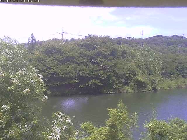 取得できませんでした