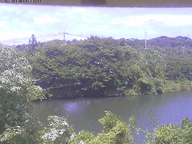 取得できませんでした