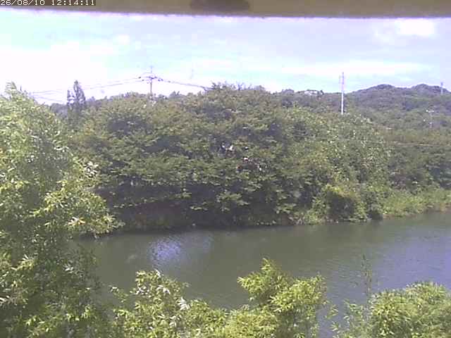 取得できませんでした