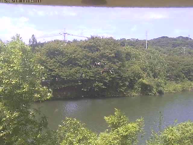 取得できませんでした