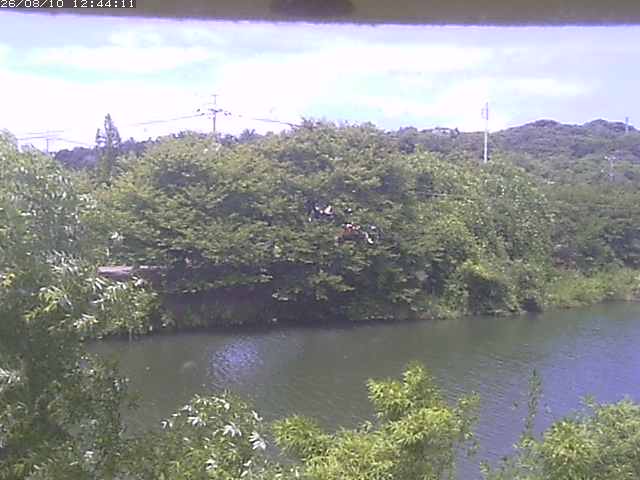 取得できませんでした