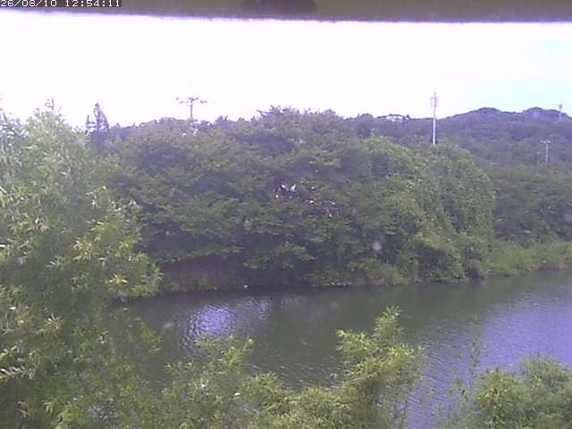 取得できませんでした