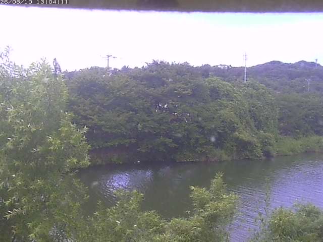 取得できませんでした