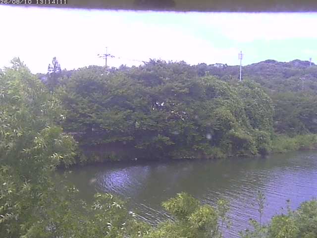 取得できませんでした
