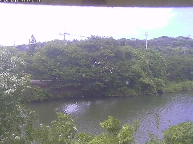 取得できませんでした