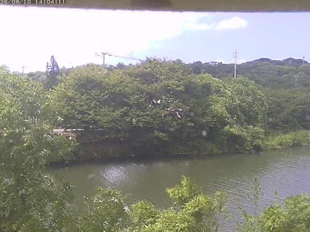 取得できませんでした