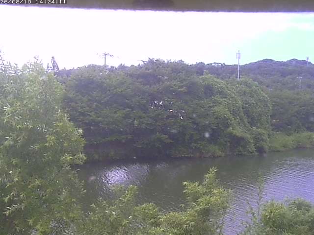 取得できませんでした