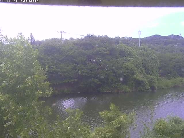 取得できませんでした