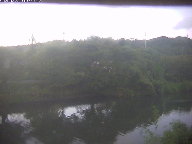 取得できませんでした
