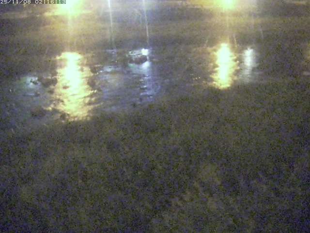 取得できませんでした