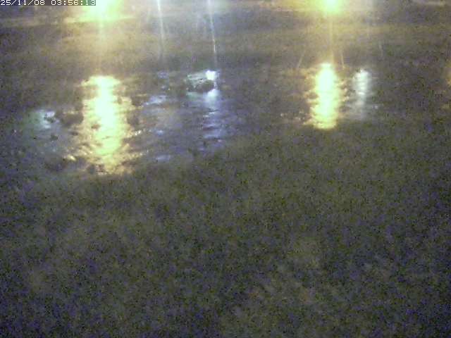 取得できませんでした