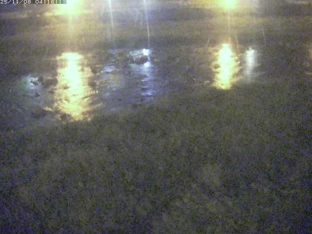 取得できませんでした